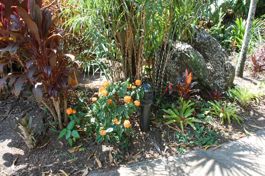 Lake Placid Tourist Park Caravonica Exterior photo